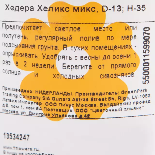 Хедера Хеликс микс 12x20 см — изображение 3