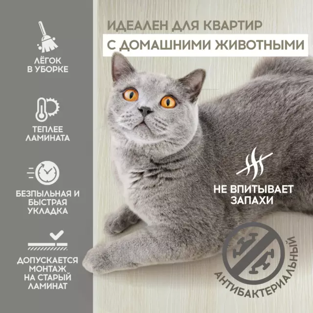 SPC плитка I-Floors High Дуб Сельва 43 класс толщина 4.20 мм 2.25 м², цена за упаковку — изображение 11