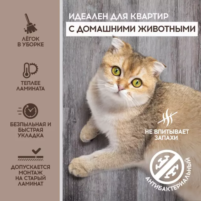 SPC плитка I-Floors Basic Дуб Локет 43 класс толщина 3.50 мм 2.25 м², цена за упаковку — изображение 8